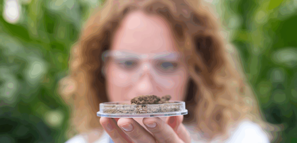 Long-Term Vision for Cannabis Companies