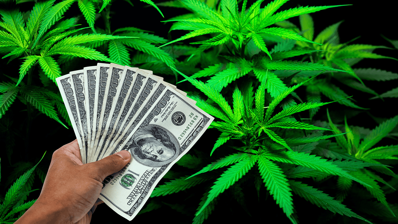 Revolutionizing Cannabis Transactions With Modern Payment Solutions