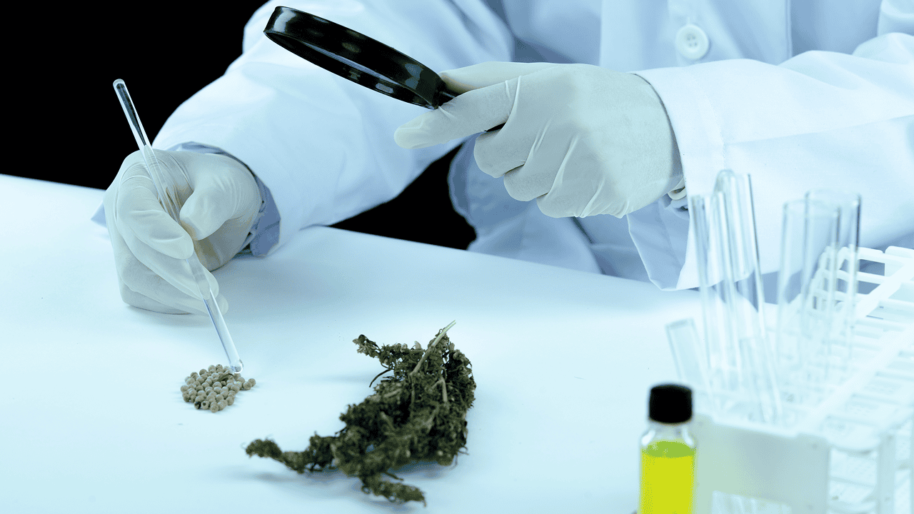 Strategies For Sustainable Expansion In The Cannabis Industry