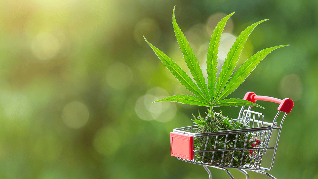 Transforming Cannabis Commerce Through Seamless Payment Integration